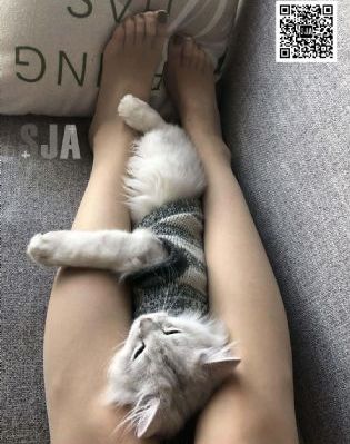 《致命弯道1》在线播放